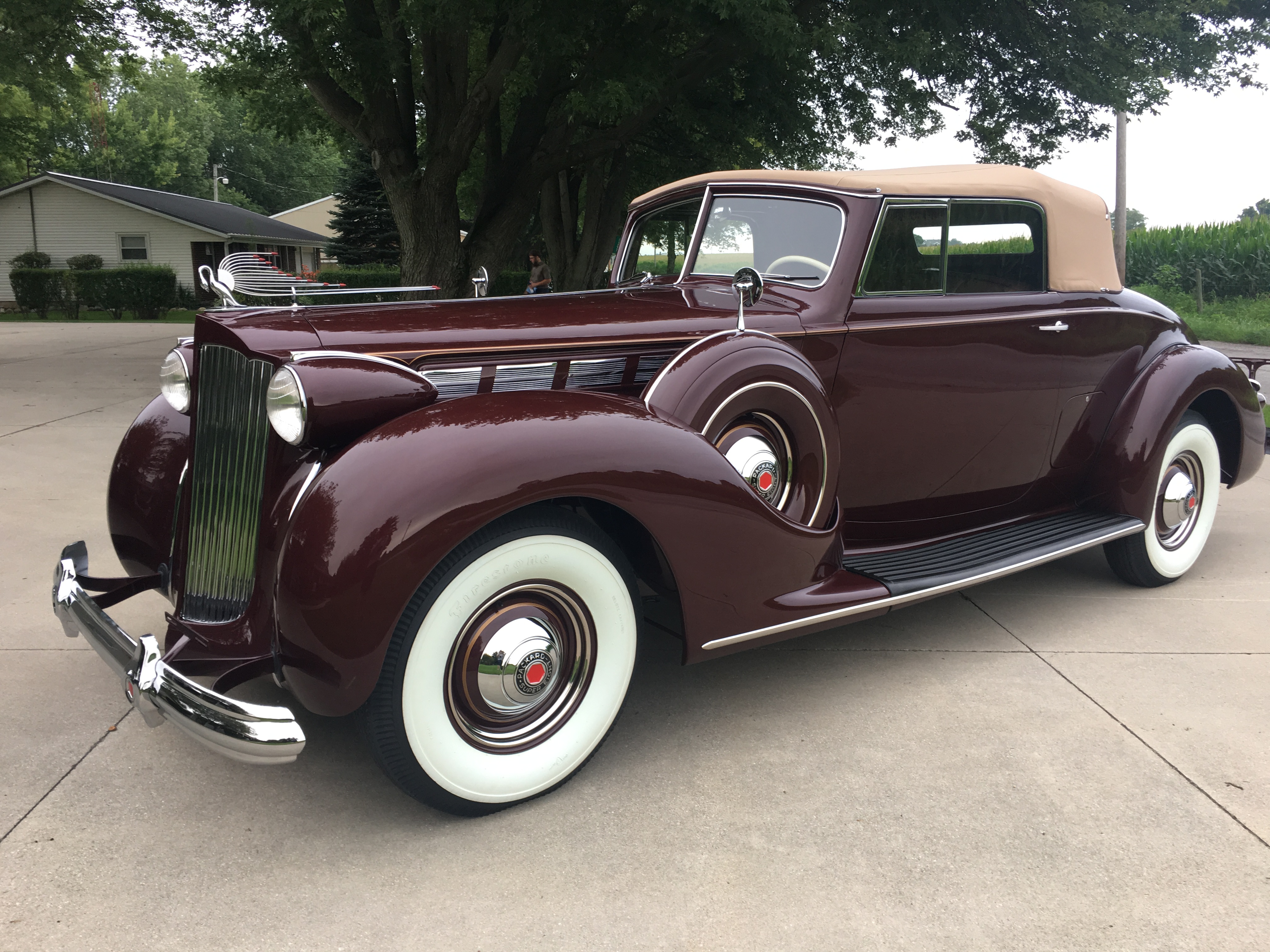 1938 Packard Super Eight Coupe Roadster LaVine Restorations